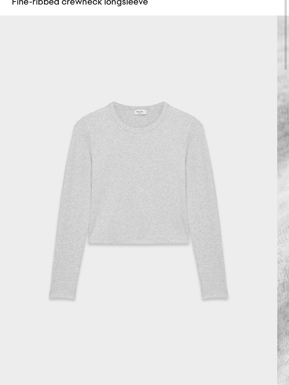Sunday Best Light Gray Ribbed Crewneck Long Sleeve Top